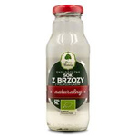 Sevă de mesteacăn BIO 270 ml – Dary Natury