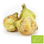 Ceapă galbenă proaspătă BIO Polonia - aprox. 5 kg
