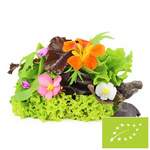 Amestec de salată BIO proaspăt, nespălat (aprox. 0,10 kg)