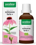 Echinacea forte (Echinacea purpurea) picături supliment alimentar bio 50 ml