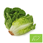 Mini salată romană proaspătă BIO (aprox. 0,40 kg)