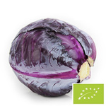 PACHET COLECTIV (kg) - KAPUSTA CZERWONA MŁODA ŚWIEŻA BIO (POLONIA) (aprox. 10 kg)