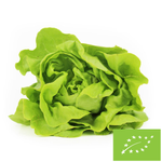 Salată verde proaspătă BIO (Polonia) (aprox. 0,20 kg)