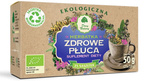 Healthy Lung Tea Supliment alimentar organic 50 g (25 x 2 g) - Dar Natury