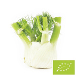 Fenicul proaspăt (fenicul) bio (aprox. 0,35 kg)