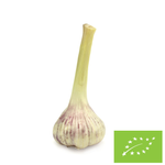 CZOSNEK ŚWIEŻY BIO (POLONIA) (aprox. 50 g)