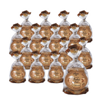 PACHET 16 x Fursecuri cu fulgi de ovăz Granny Annie's B/C 100 g