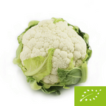 Conopidă proaspătă BIO - cca. 8 bucăți – Bio Planet