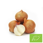 Ceapă șalotă proaspătă BIO – aproximativ 0,50 kg