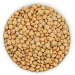 Linte brună bio (materie primă) (25 kg) 6