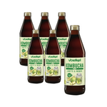 PACHET 6 x Kombucha lime-ginger BIO 330 ml