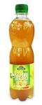 Kombucha ceai verde Bio 500 ml – Bio Linie