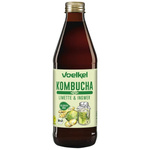 Kombucha limetă-ghimbir BIO 330 ml – Voelkel