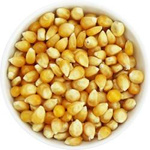 Popcorn BIO (boabe de porumb, materie primă) 25 kg 2 – Horeca