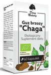 Birch mesteacăn tumoare chaga BIO 60 capsule (470 mg)