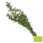 Rozmarin proaspăt bio (aprox. 50 g) - BIO