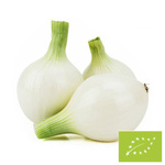 Ceapă albă zaharată proaspătă BIO (Polonia) (ambalaj vrac) – aproximativ 5 kg